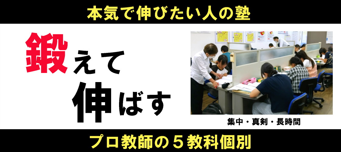 伸び悩んでいる人をプロ教師が基礎から指導